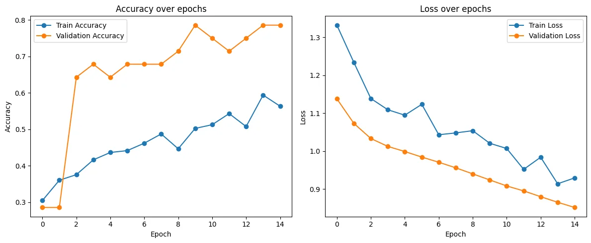 Accuracy and loss curves for the VGG16 classifier