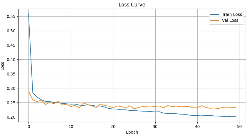 U-Net training and validation loss curves over 50 epochs